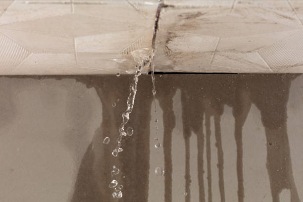 Professional Water Damage Repair technician working in Roanoke, IL